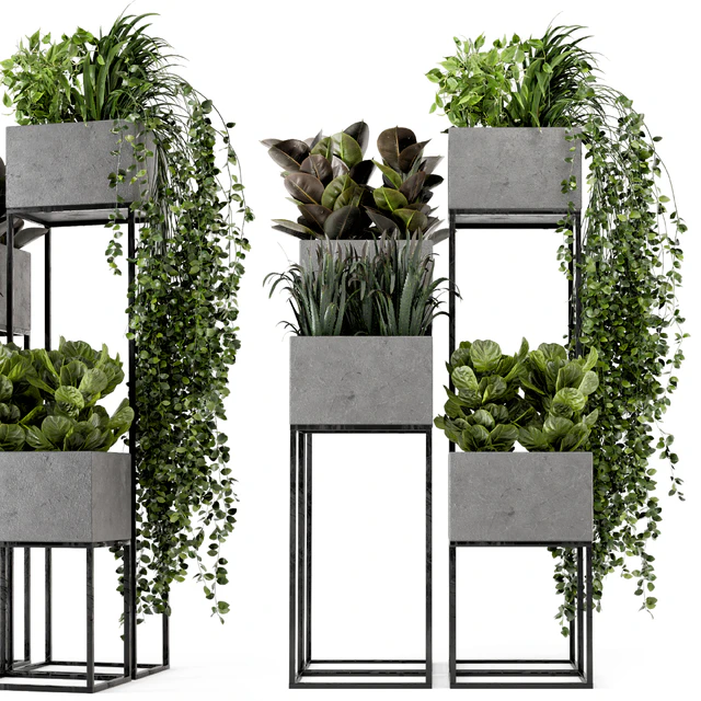 Indoor Plants in rusty Concrete Pot on Metal Shelf - Set 221 — Descargar