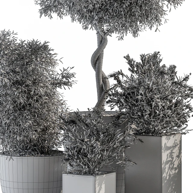 Outdoor Plant Set 273 - Plant Set in Concrete Pot — Descargar