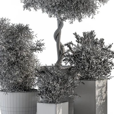 Outdoor Plant Set 273 - Plant Set in Concrete Pot — Ver 2