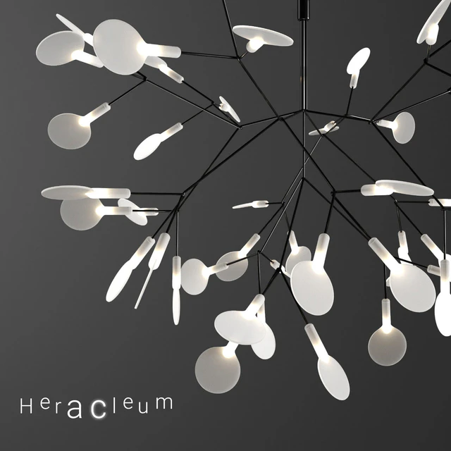 Chandelier Moooi Heracleum II Small BLACK — Descargar