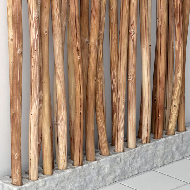 Decor dry dranches — Скачать