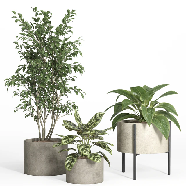 indoor plant set 52-concrete and metal pot — Скачать