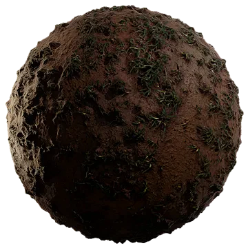 scarce grass on damp soil 001 — Скачать