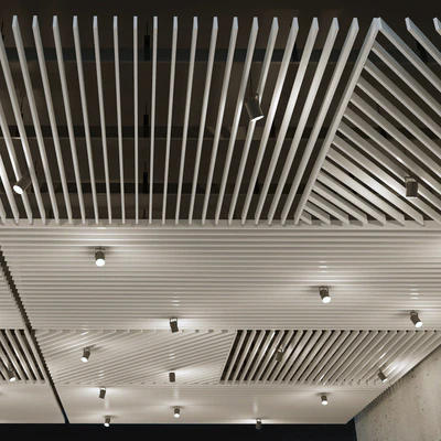 False ceiling rack. 20 — View 2