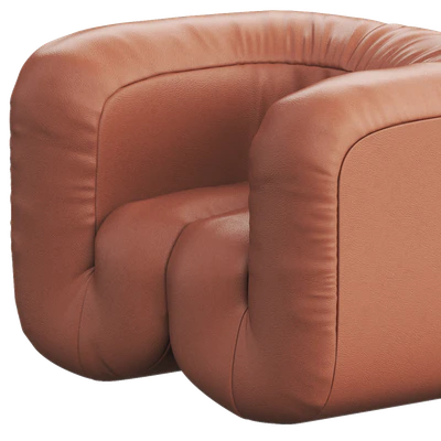 DS-707 Leather armchair By de Sede — Ver 4