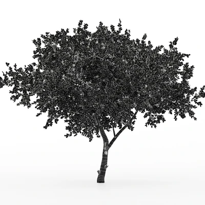 New Plant Orange fruit Tangerine tree001 — Ver 5