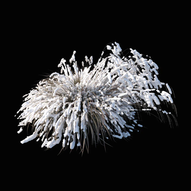 Miscanthus sinensis winter model — Скачать