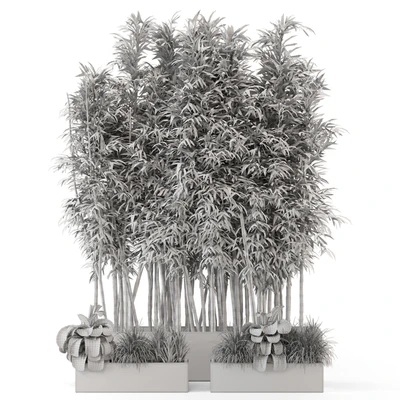 Indoor Plants Bamboo Set in rusty Concrete Pots - Set 1894 — Ver 4