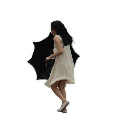 454 — Descargar