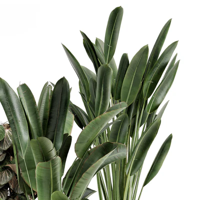 Indoor Plants in Ferm Living Bau Pot Large - Set 1204 — Ver 3