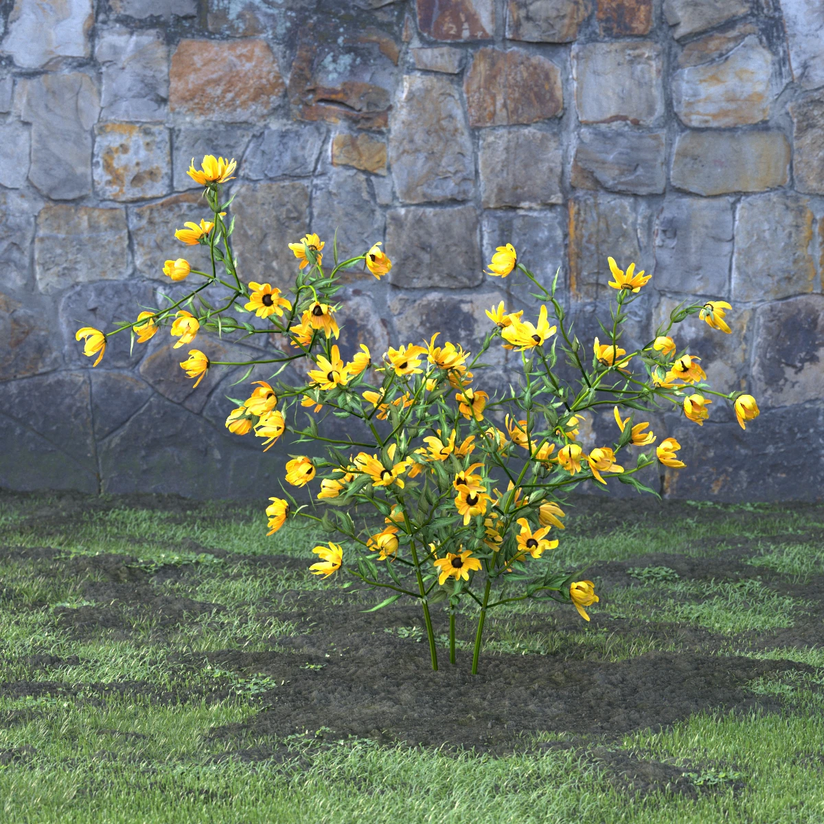 garden flowers 009 — Download