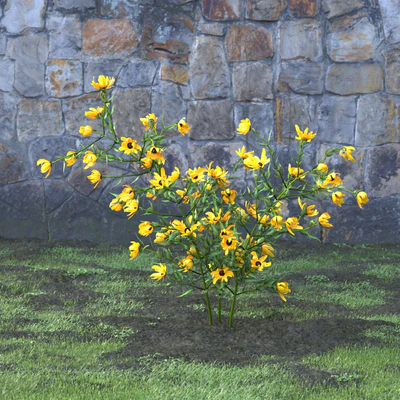 garden flowers 009 — Download