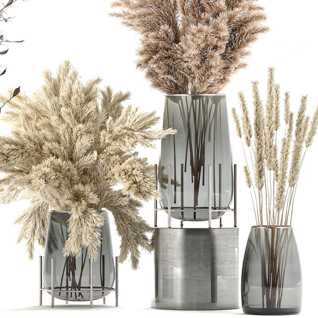 A collection of bouquets of dried flowers in glass vases with Pampas, branches, Cortaderia, pampas grass, reeds. Set 103. — Descargar