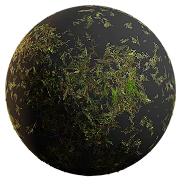 northern white cedar leaves 001 — Скачать