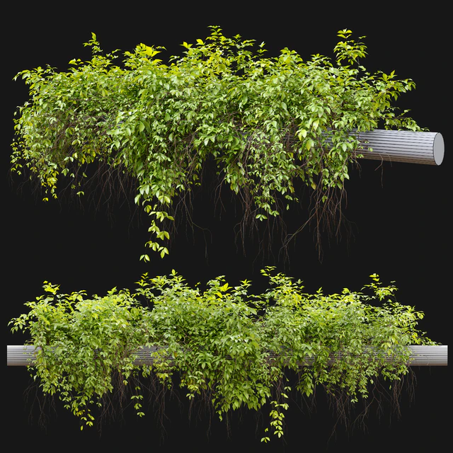 Hanging Plant 21 — Descargar