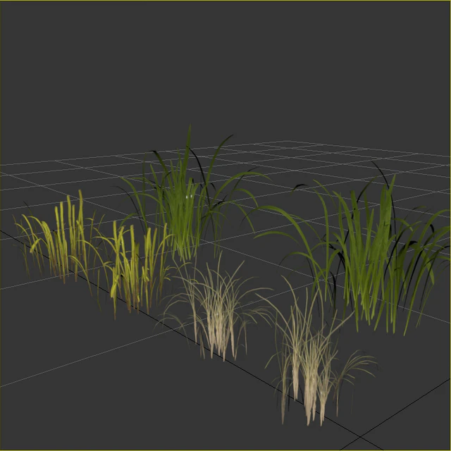 Uncut forest grass collection 03 — Descargar