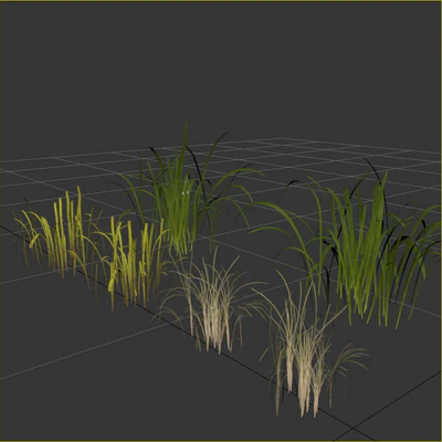 Uncut forest grass collection 03 — Ver 2