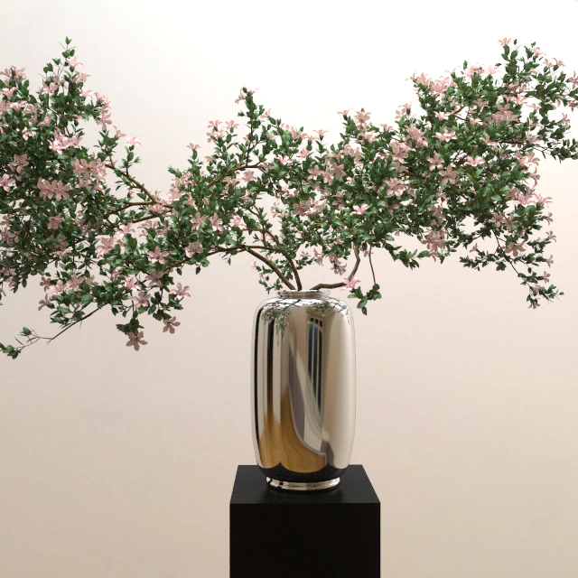 Branches of serrisa — Descargar