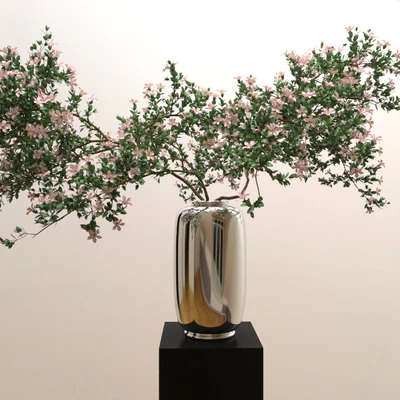 Branches of serrisa — Ver 1
