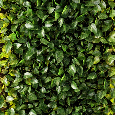 vertical garden 10 — Ver 2