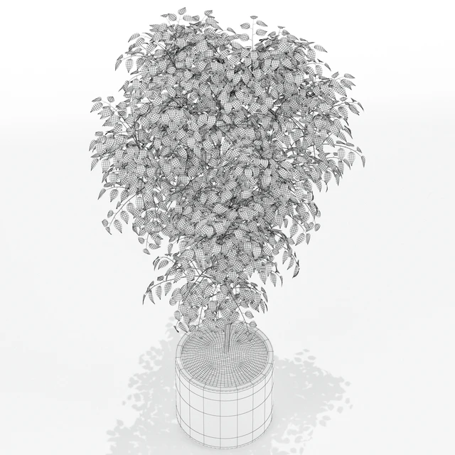 Plants collection 152 — Descargar