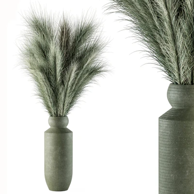 Dry plants 85 - Dried Green Branch — descargar