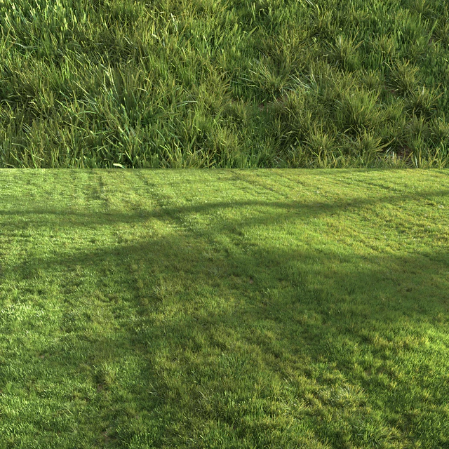 Summer grass — Скачать
