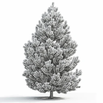 Pine — Ver 2
