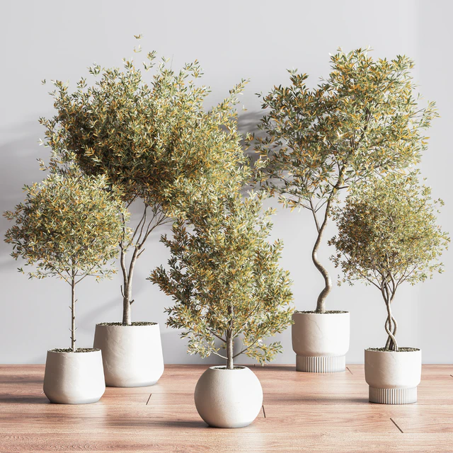 IndoorSetPlant054 — Descargar