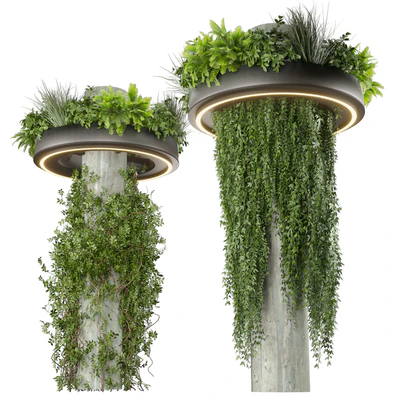 Collection plant vol 532 - bush - ampelous - column - fitowall - ivy — Вид 5
