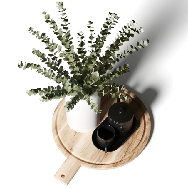 A bouquet of eucalyptus in a white vase, and a teapot with a cup on a wooden board — Download