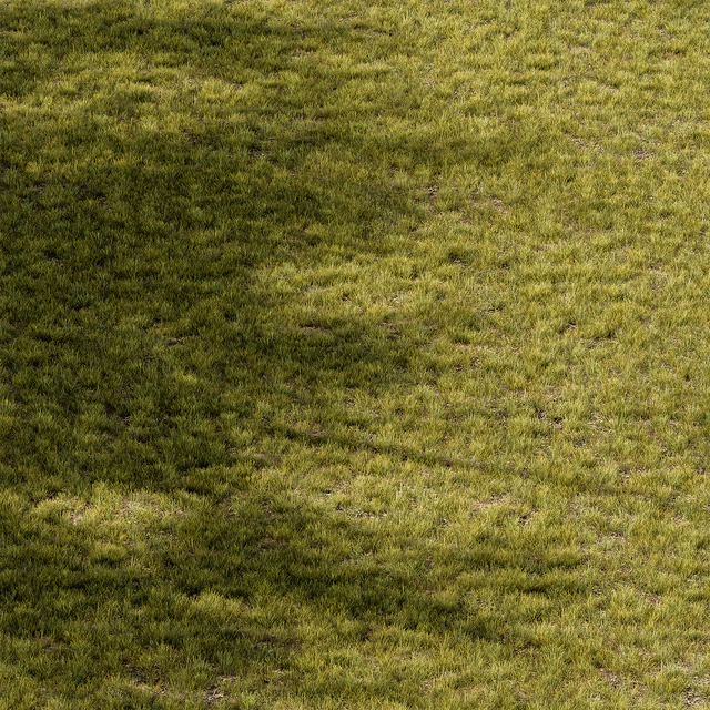Short Grass Set 29 — Descargar