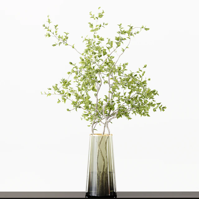 Collection Indoor Plants 016 — Descargar