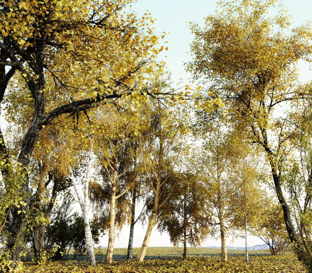 itrees vol 001 autumn — Скачать