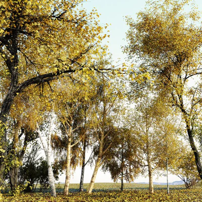 itrees vol 001 autumn — Скачать