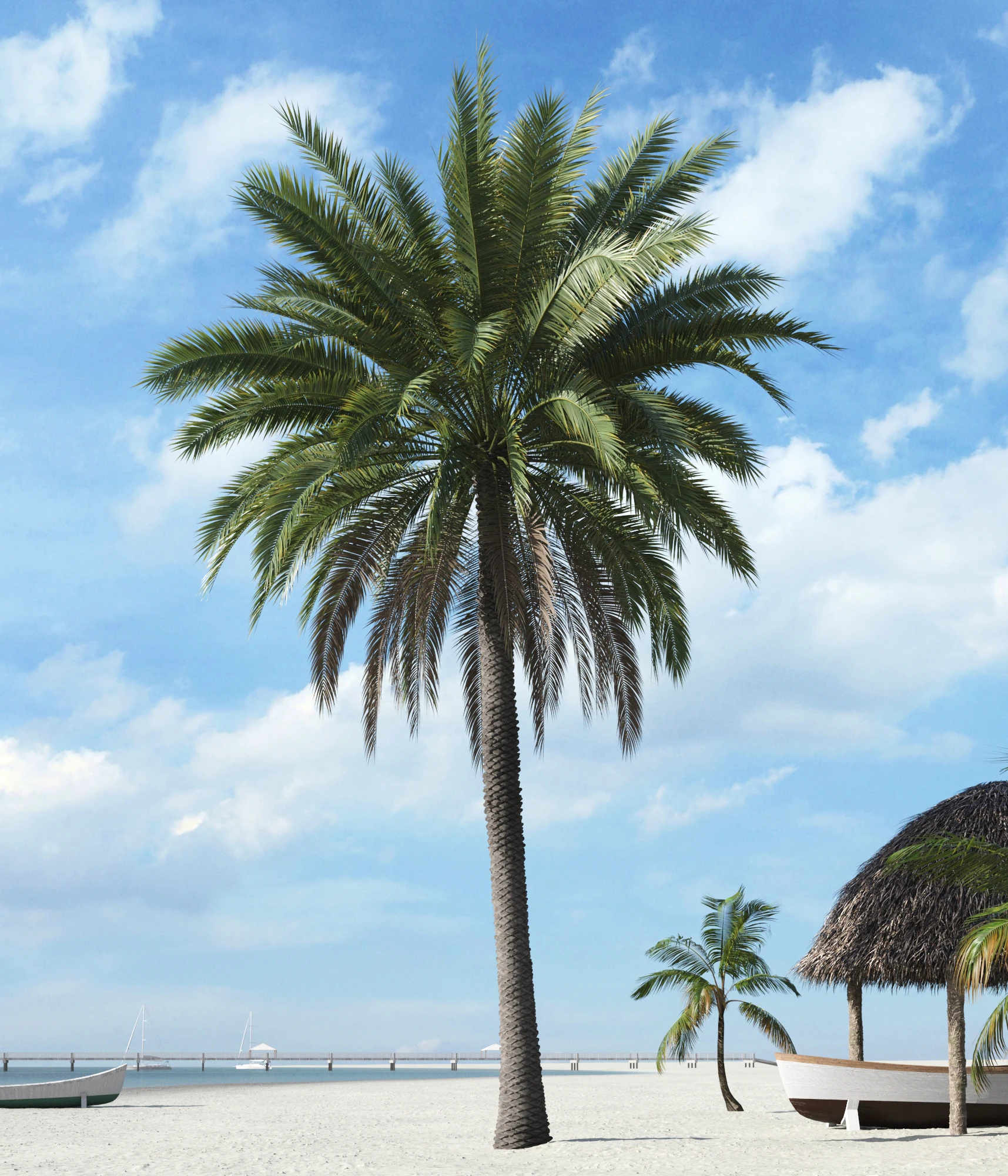 palm trees 017 — Скачать