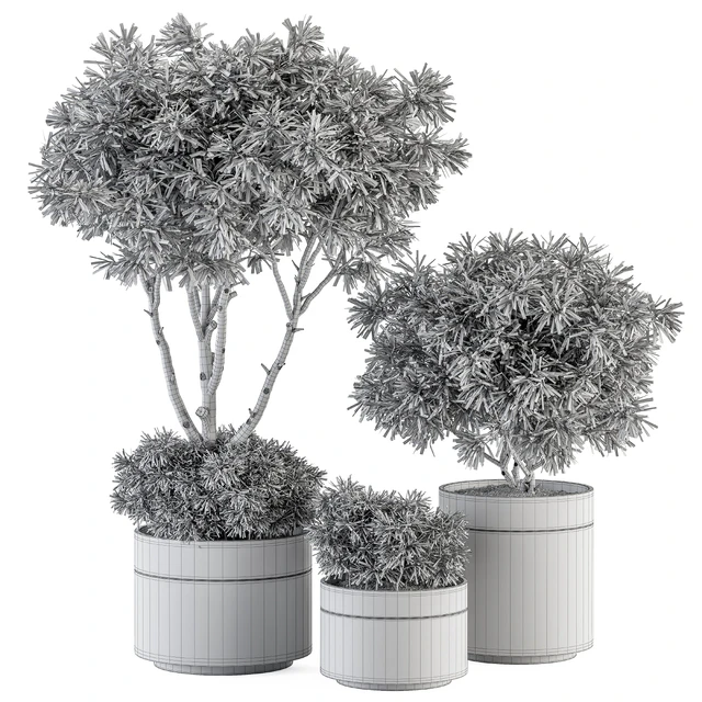 indoor Plant Set 361- Tree and Plant Set in pot — Скачать