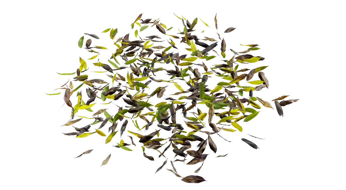 dead leaves 005 — Скачать