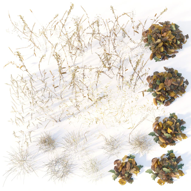 Dry autumn grass — Descargar