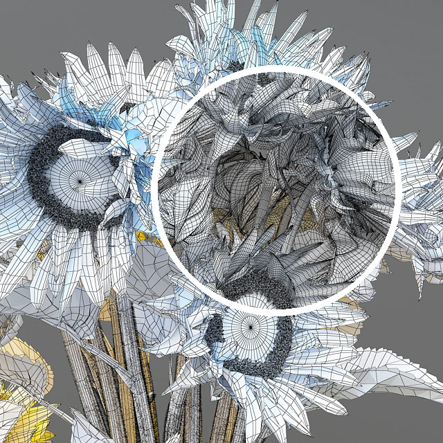 Sunflower1 — Скачать