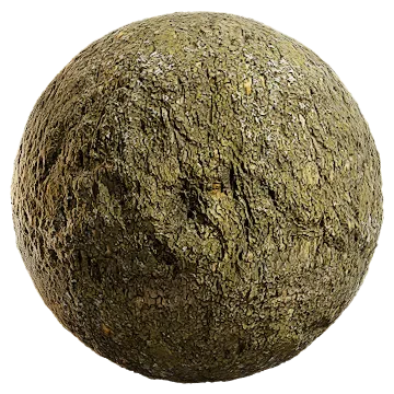 maple bark 001 — Скачать