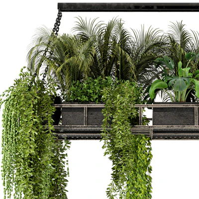 Indoor Hanging Plants in Metal Box - Set 71 — Вид 3