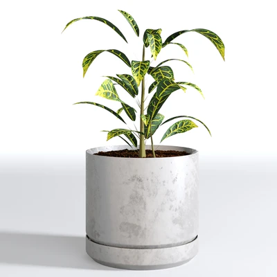 Indoor Plants Collection - Set 03 — View 4