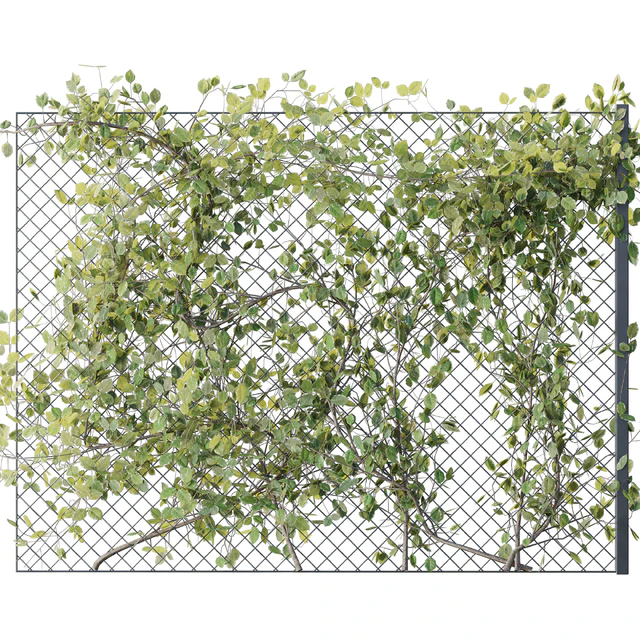 Ivy on Fence 02 — Скачать