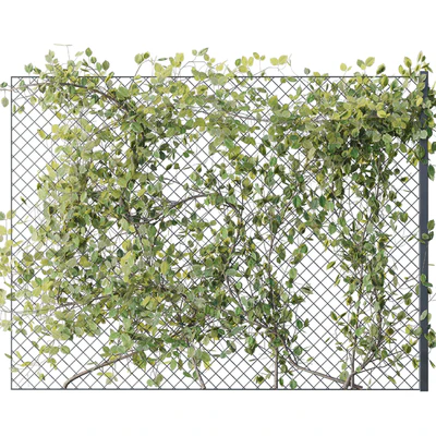 Ivy on Fence 02 — Вид 2