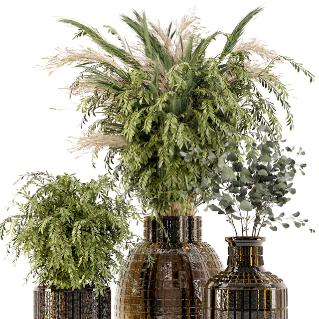 Collection Indoor Plants in Glass Pots - Set 701 — Descargar