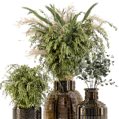 Collection Indoor Plants in Glass Pots - Set 701 — Ver 4