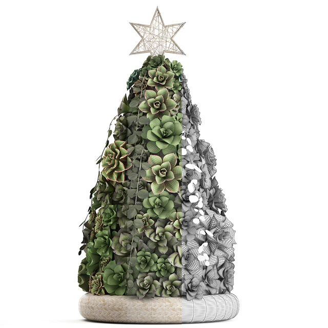 Plant Collection 420. succulents, Christmas tree, cake, Echeveria — Download