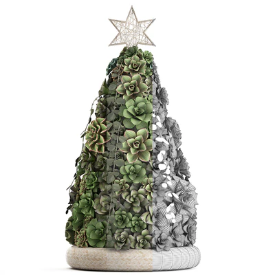 Plant Collection 420. succulents, Christmas tree, cake, Echeveria — View 3