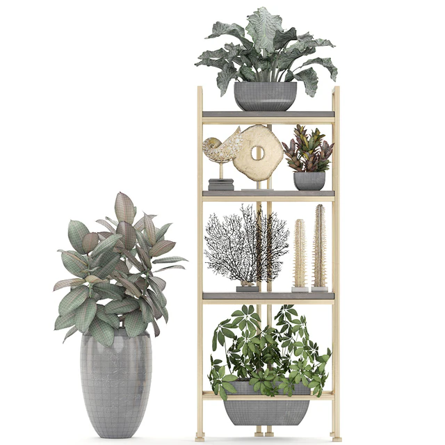 Decorative set. 4. Shelf with flowers, gold, coral, Ficus, pot, Rack, decor, Schefflera, luxury, ficus abidjan — Descargar